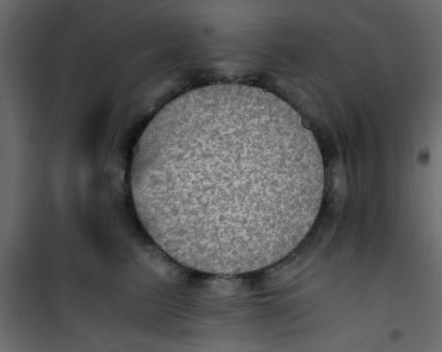 X0000101120615200807172002
