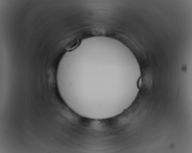 X0000101120616200807172002