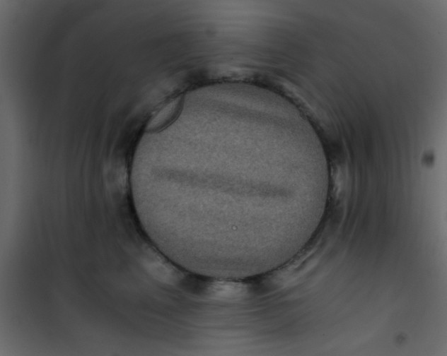 X0000101120617200807172002