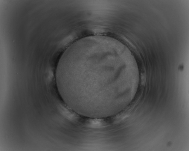 X0000101120618200807172002