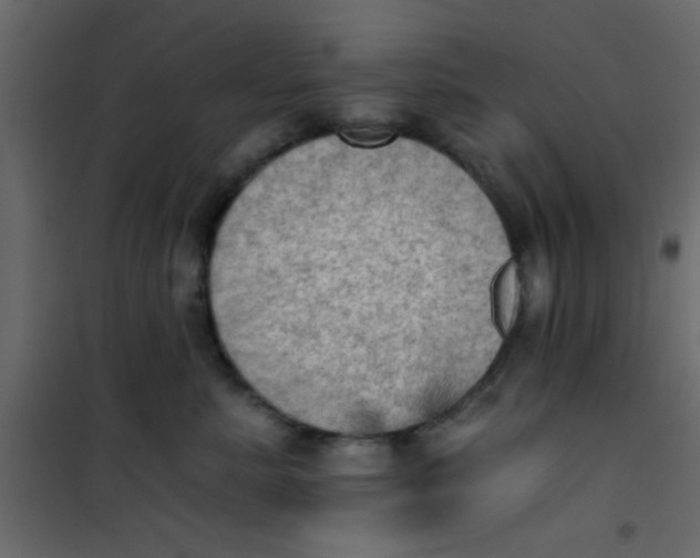 X0000101120619200807172002