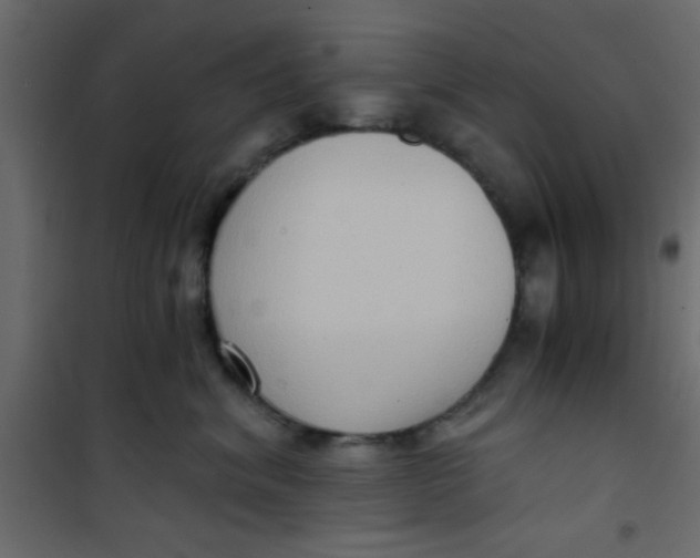 X0000101120620200807172002
