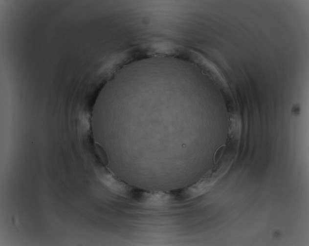 X0000101120621200807172002