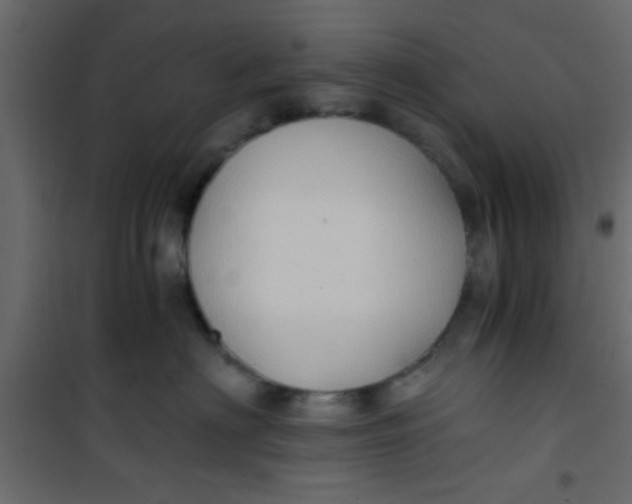 X0000101120622200807172002