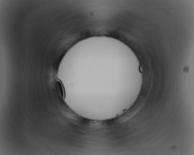 X0000101120624200807172001