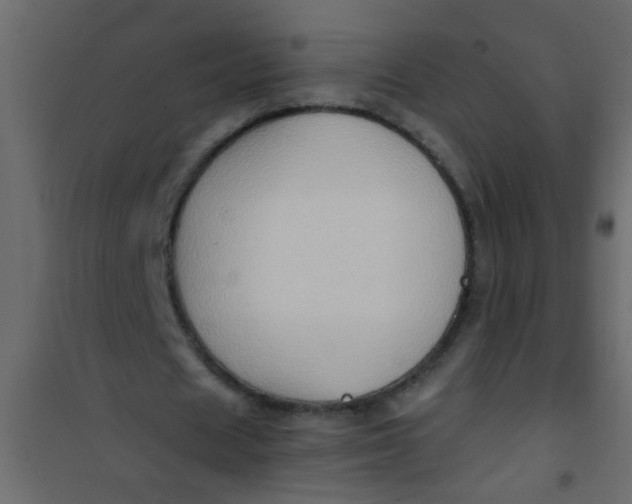 X0000101120625200807172001