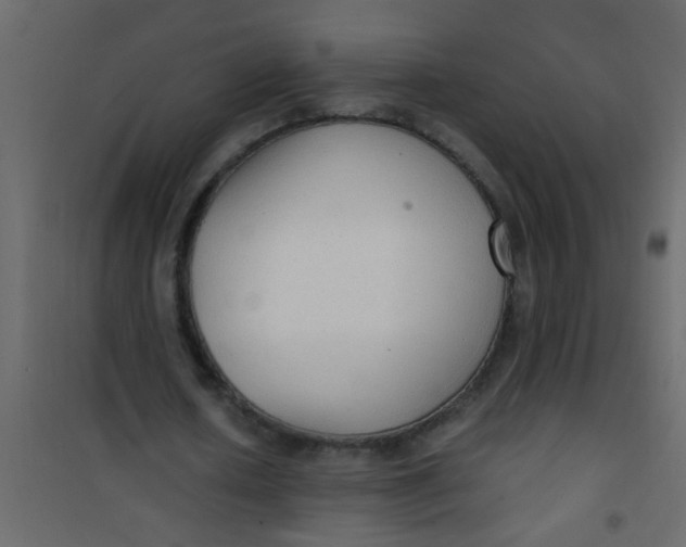 X0000101120626200807172001