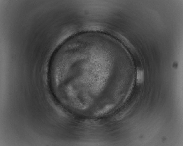 X0000101120627200807172001