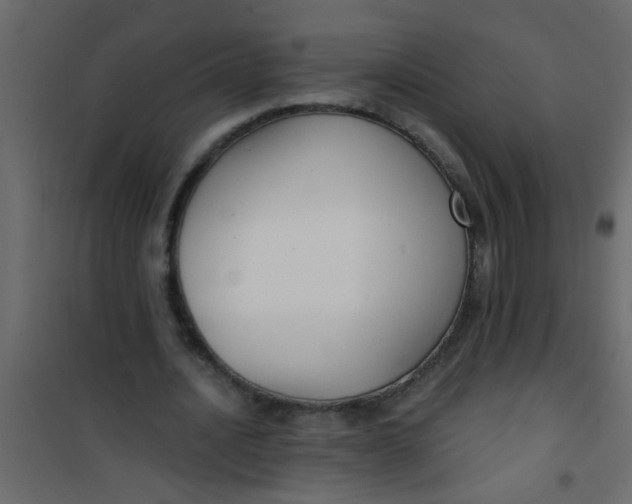 X0000101120628200807172001