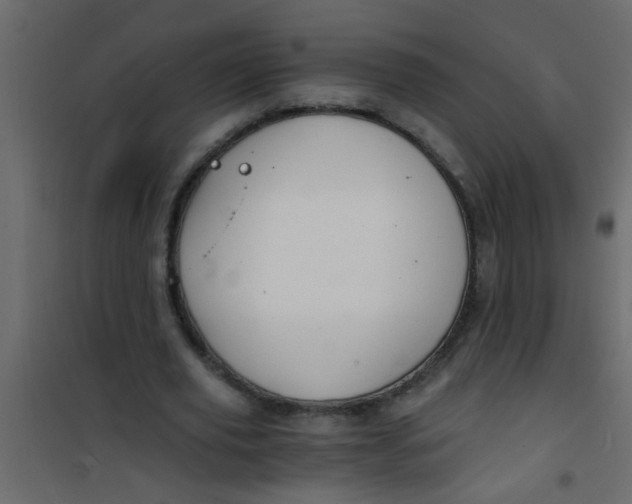 X0000101120629200807172001