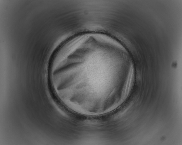X0000101120630200807172001