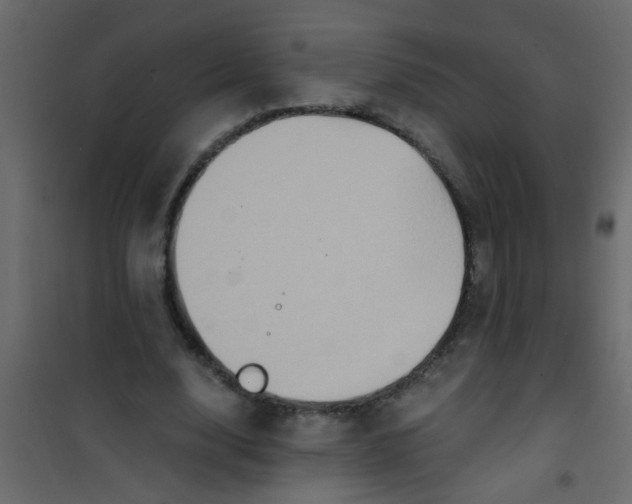 X0000101120632200807172001