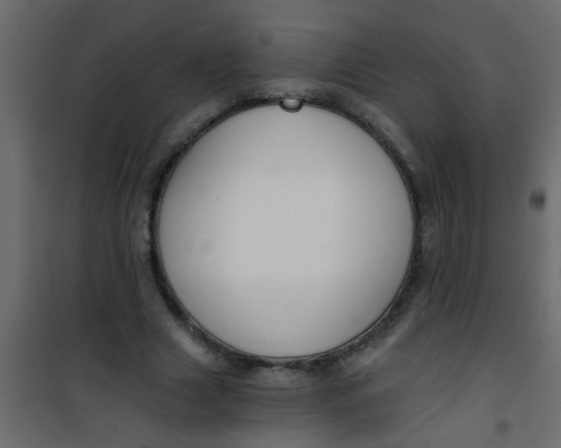 X0000101120633200807172001