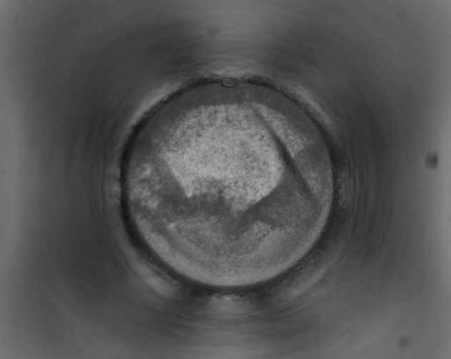 X0000101120634200807172001