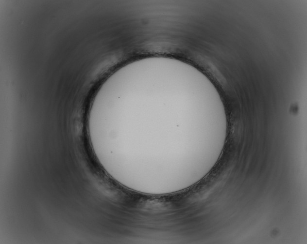 X0000101120635200807172001