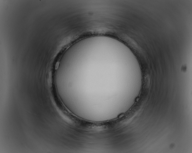 X0000101120638200807172001