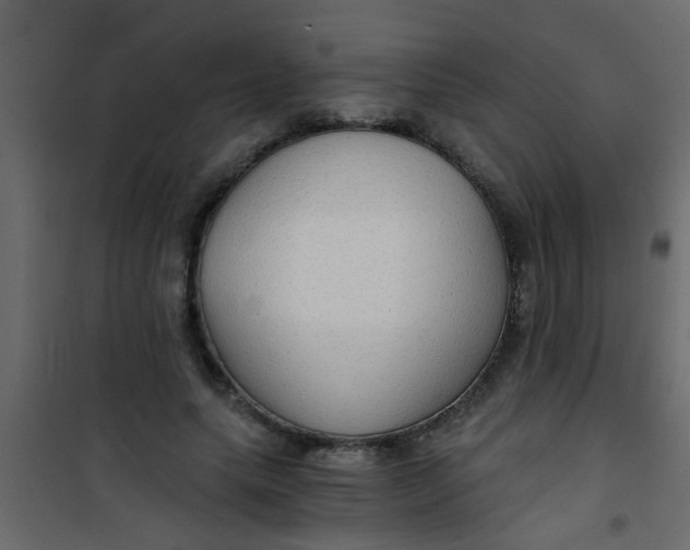 X0000101120639200807172001