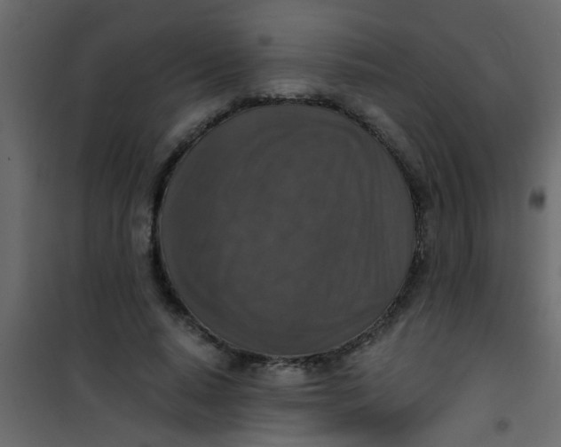 X0000101120640200807172001