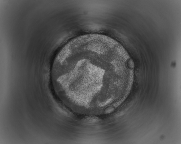 X0000101120642200807172001