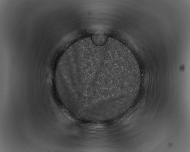 X0000101120643200807172001