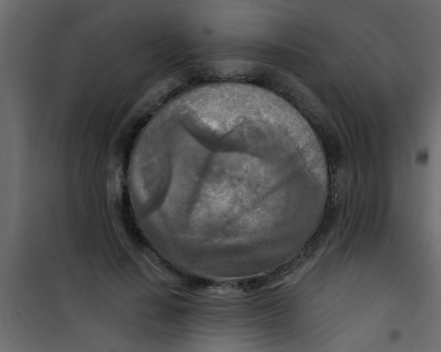 X0000101120644200807172001