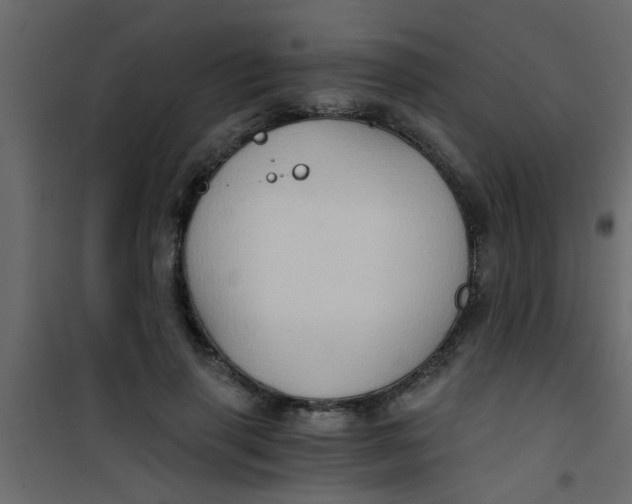 X0000101120645200807172001