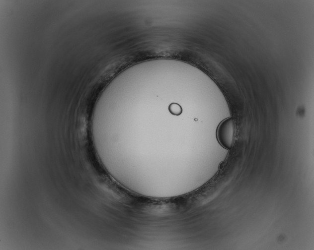 X0000101120646200807172001