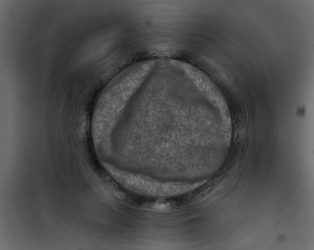 X0000101120647200807172001