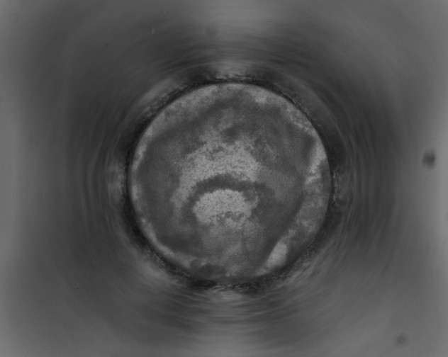 X0000101120648200807172001
