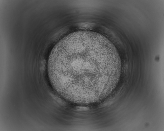 X0000101120649200807172001