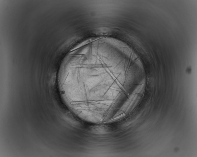 X0000101120652200807172001