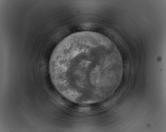 X0000101120653200807172001