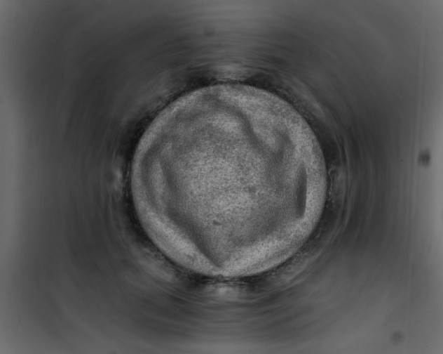 X0000101120655200807172001