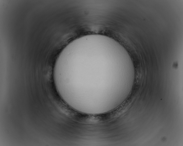 X0000101120656200807172001