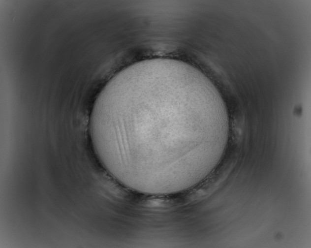 X0000101120657200807172001
