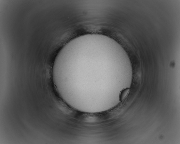 X0000101120658200807172001