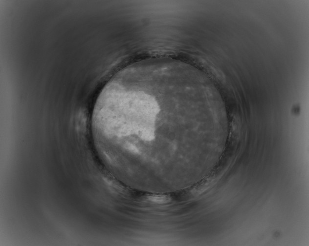 X0000101120659200807172001