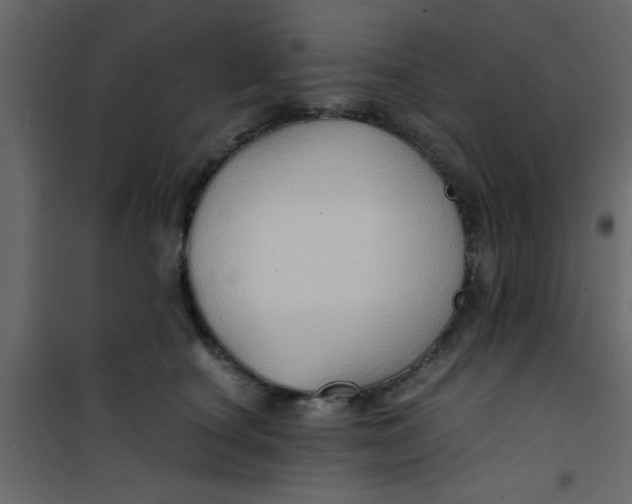 X0000101120660200807172001