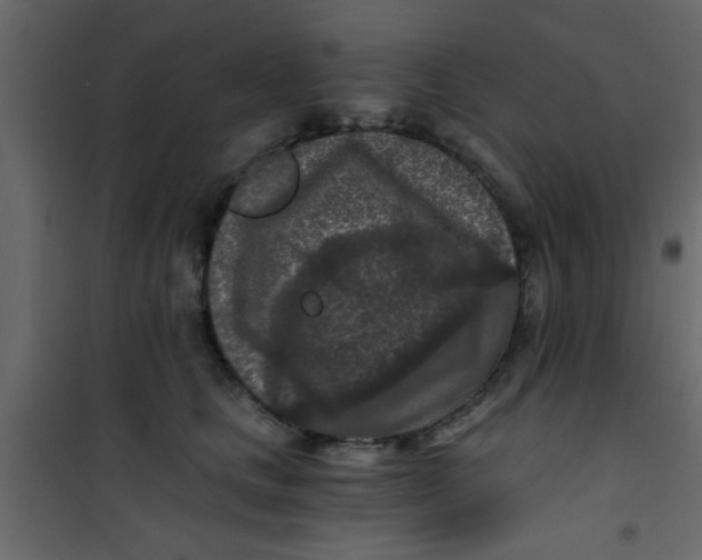 X0000101120661200807172001