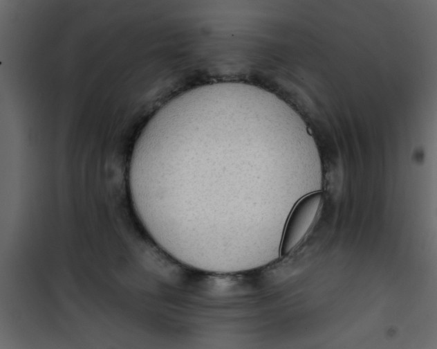 X0000101120662200807172001