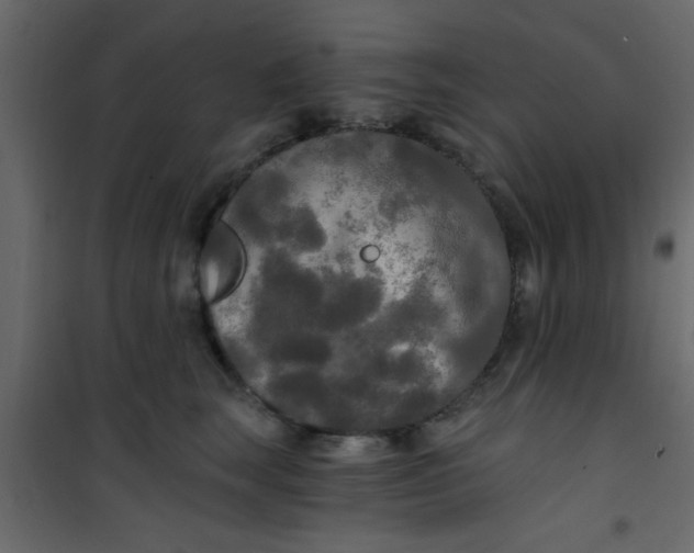 X0000101120663200807172001