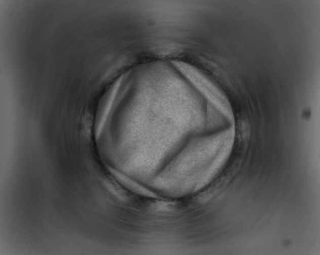 X0000101120664200807172001