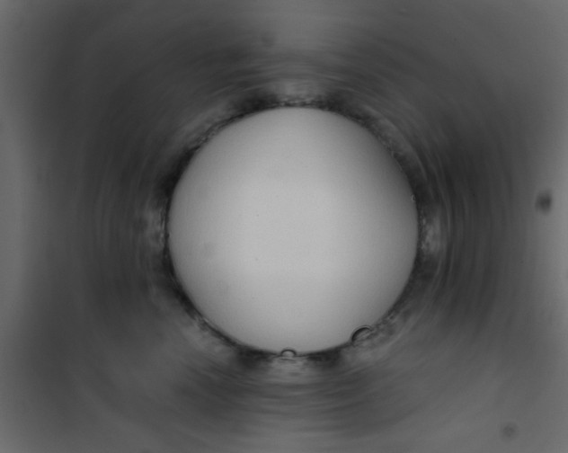 X0000101120666200807172001