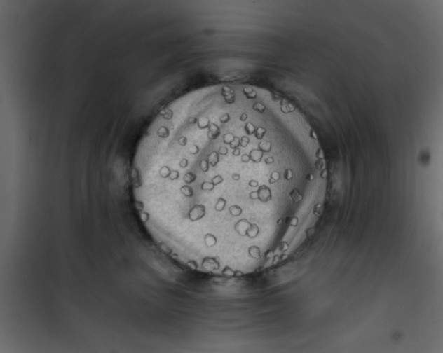 X0000101120667200807172001