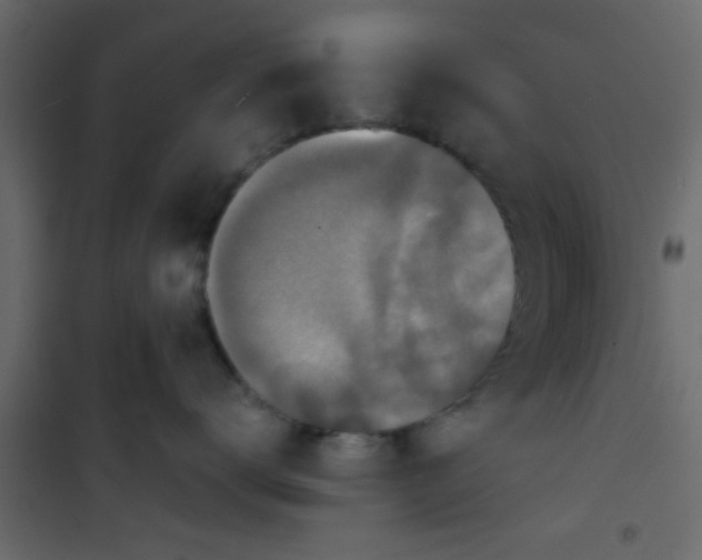 X0000101120672200807172001