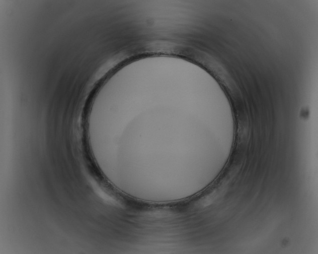 X0000101120674200807172001