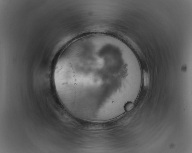 X0000101120675200807172001