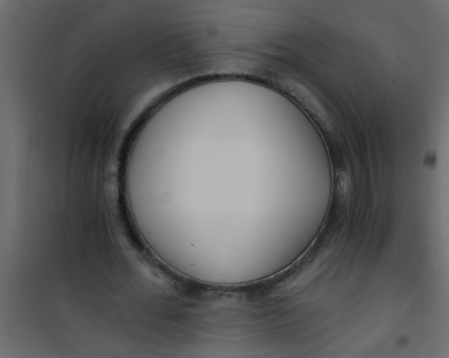 X0000101120676200807172001