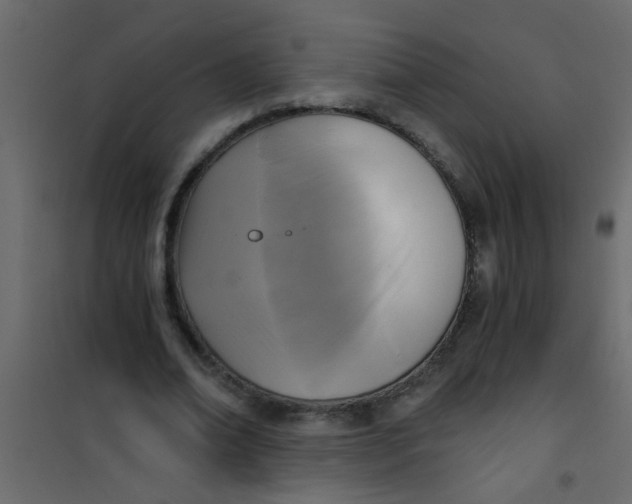 X0000101120678200807172001