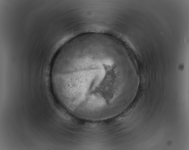 X0000101120679200807172001